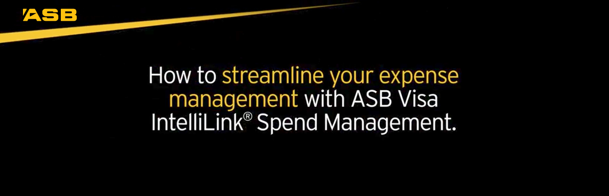 Visa IntelliLink Spend Management Online Solution ASB   Original